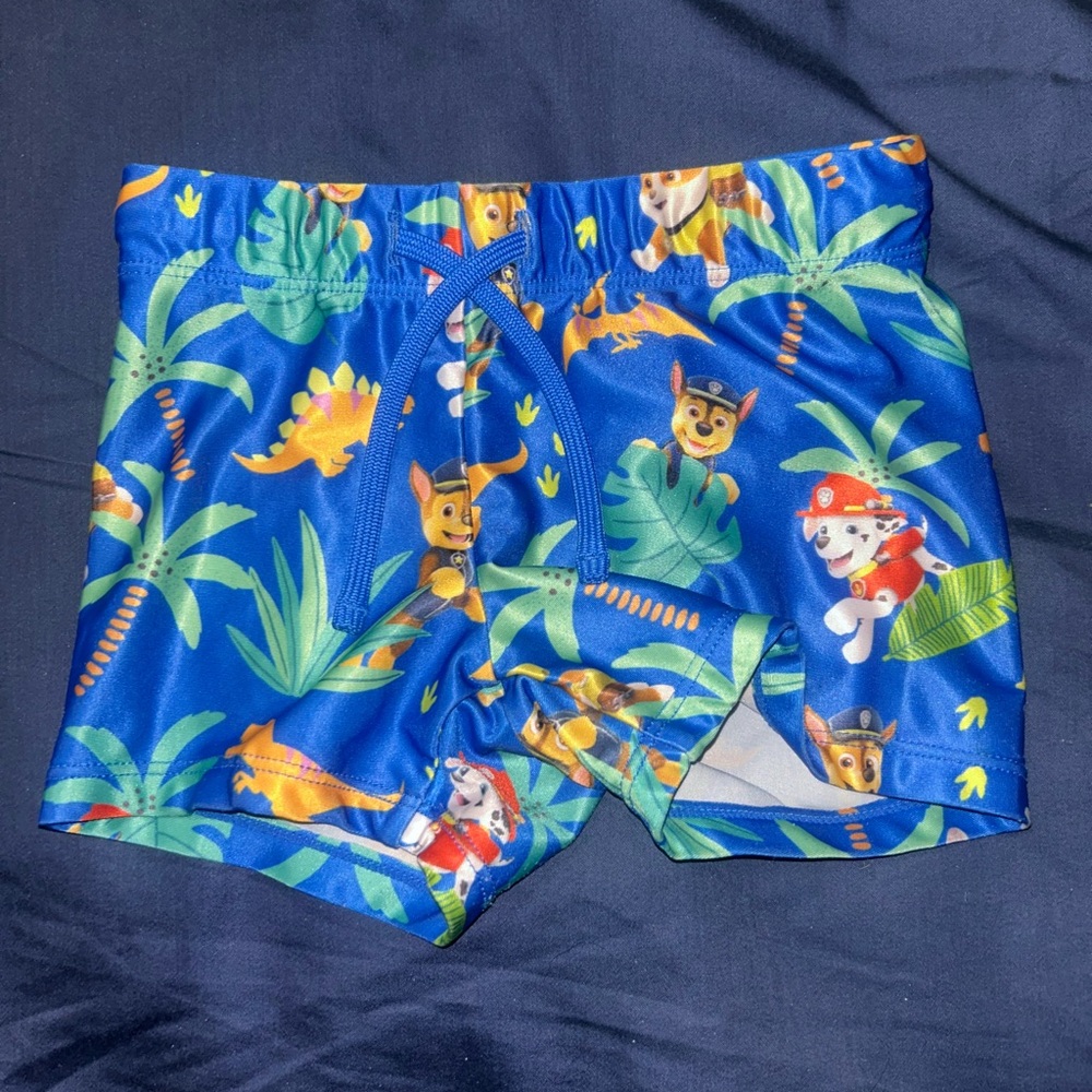 H&M Blue Paw Patrol Tropical Print Swim Trunks